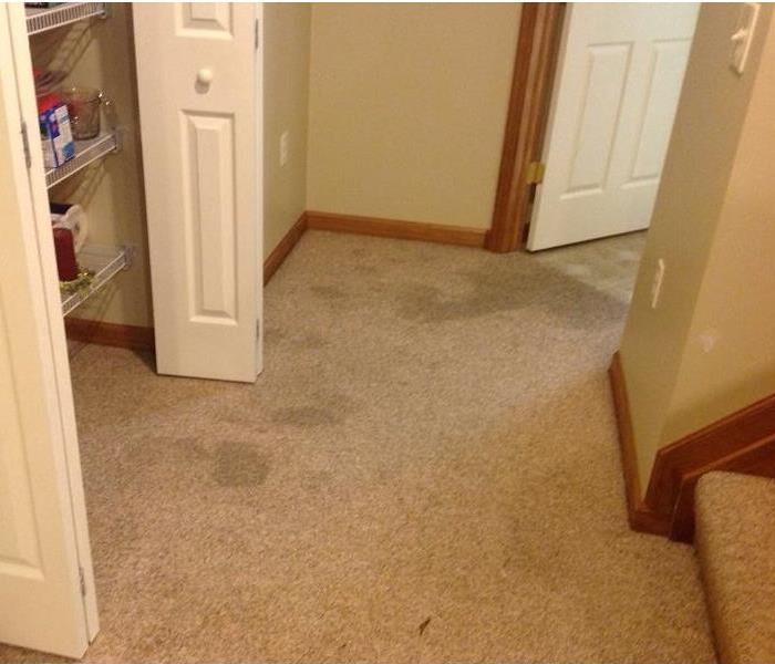 Hallway of a home with tan carpeting showing darker areas that are wet.