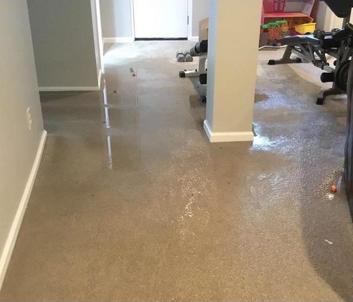 A room of a home with standing water saturating the carpeted floor.